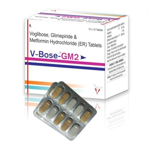 V Bose GM2